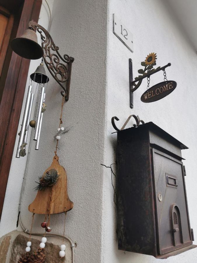 Casa Phoenix Appartamento Piano Terra Immerso Nel Verde A Pochi Minuti Dalla Ciclabile Пьеве-ди-Кадоре Экстерьер фото